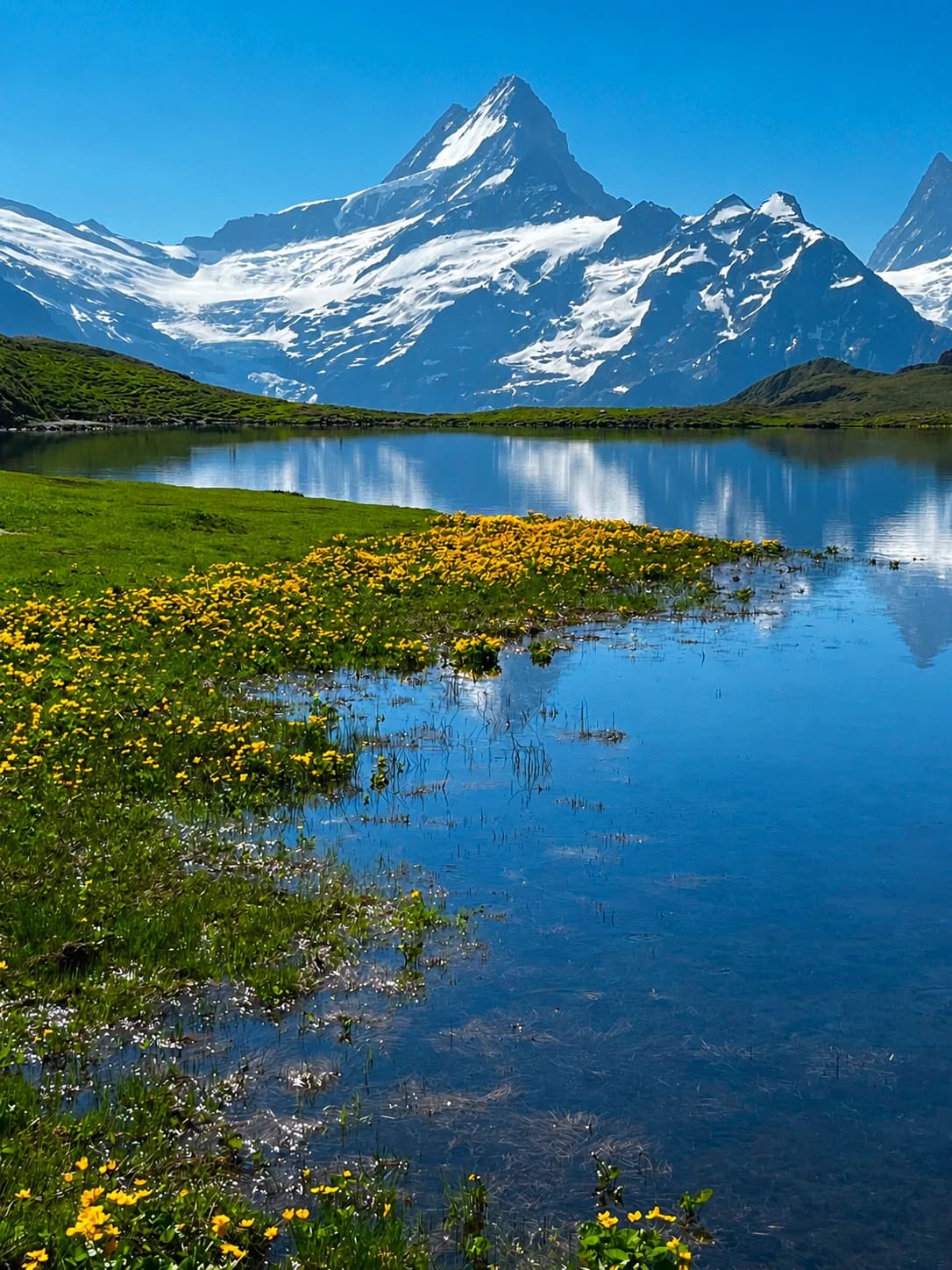 Ultimate Switzerland