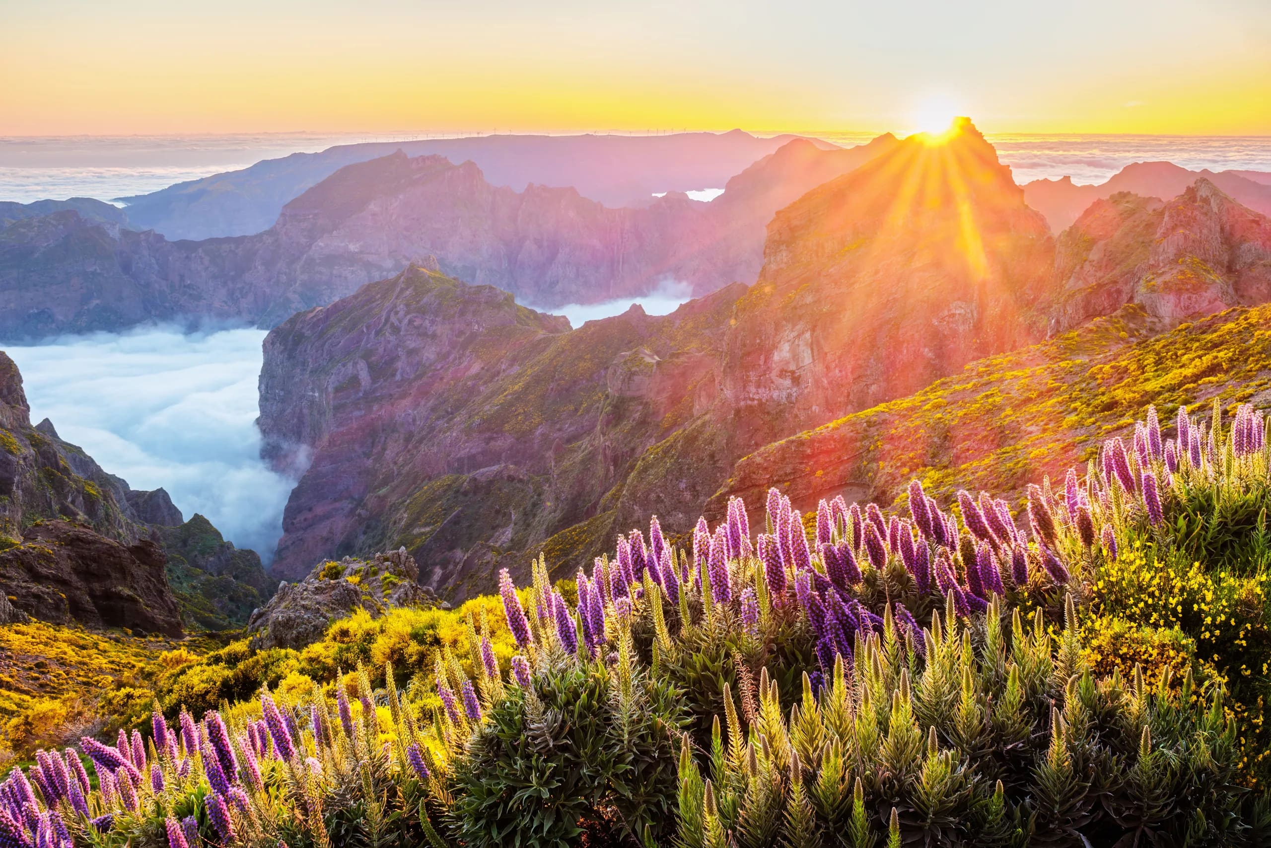 pico do arieiro