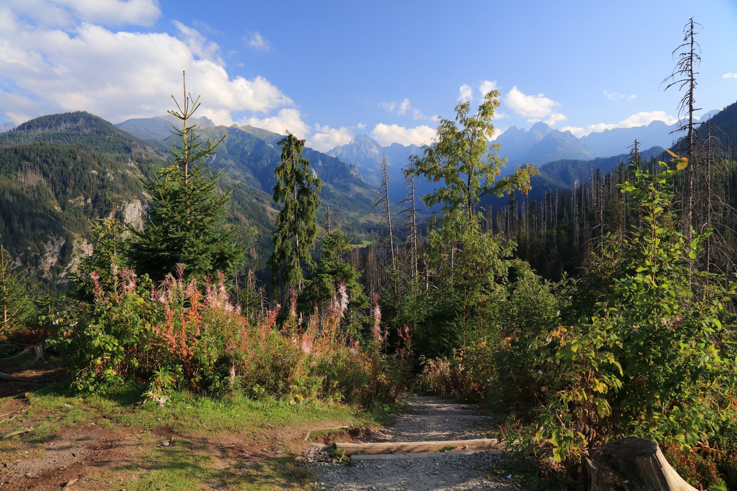 Tatra Mountains Slovakia — hero image